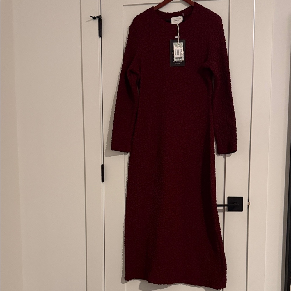 NWT Hyacinth House Long Sleeve Burgundy Dress (Tuckernuck)